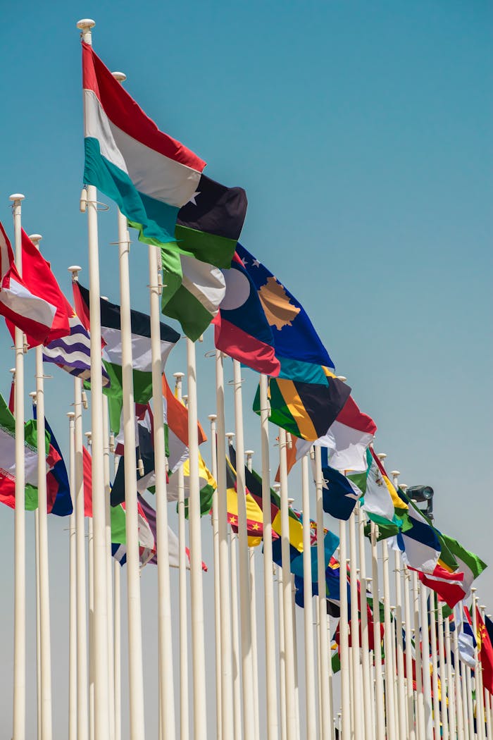 ours-journey A variety of international flags waving on flagpoles under a clear blue sky.